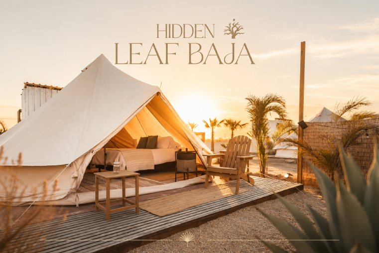 Hidden Leaf Baja